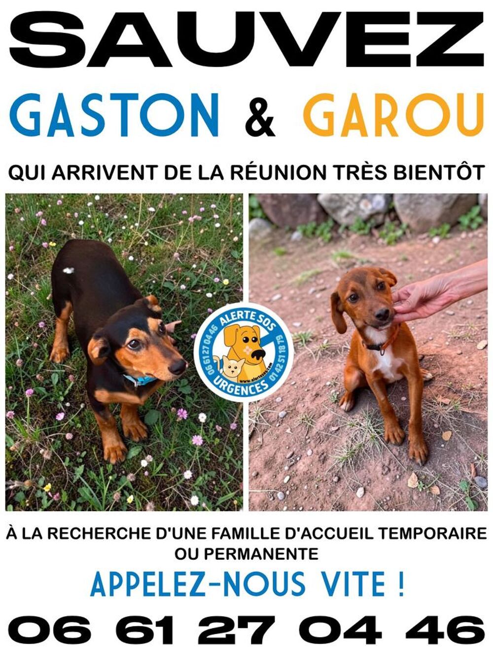   SAUVEZ GASTON ET GAROU 