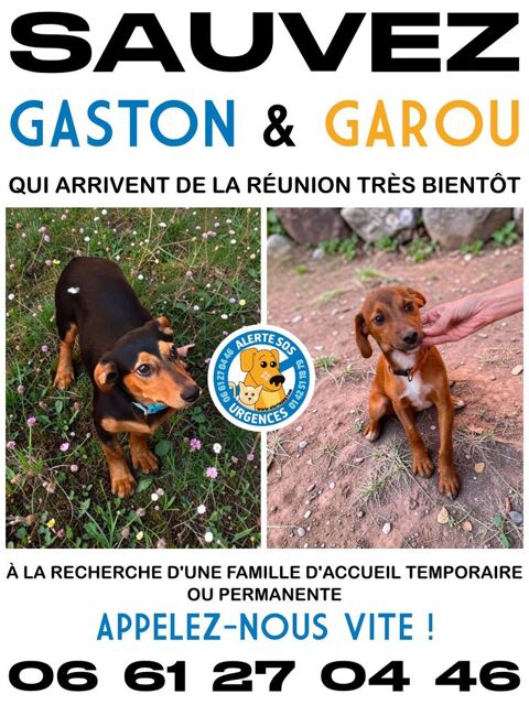 SAUVEZ GASTON ET GAROU 0 75018 Paris