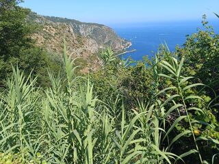  Terrain  vendre 500 m