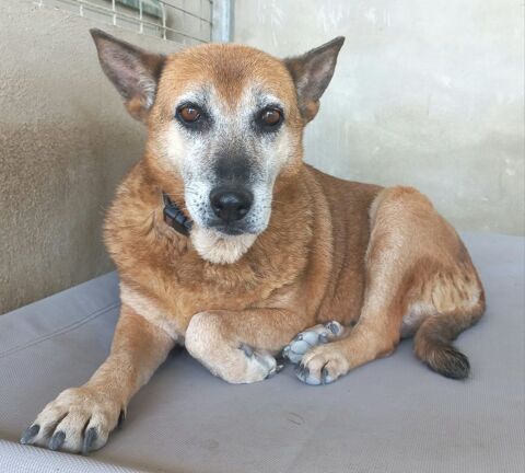 GORDA 350 27620 Gasny