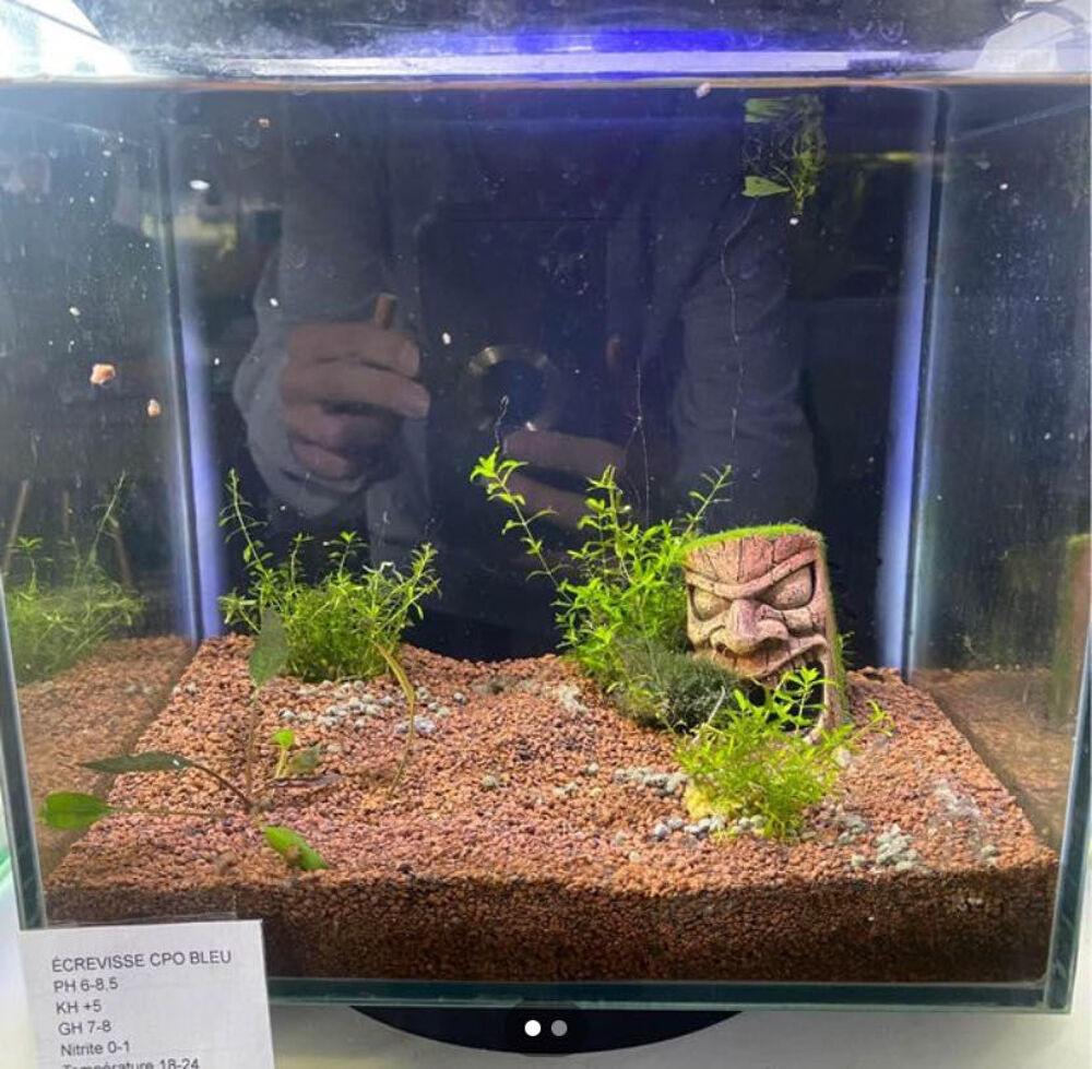 aquarium tetra complet Décoration