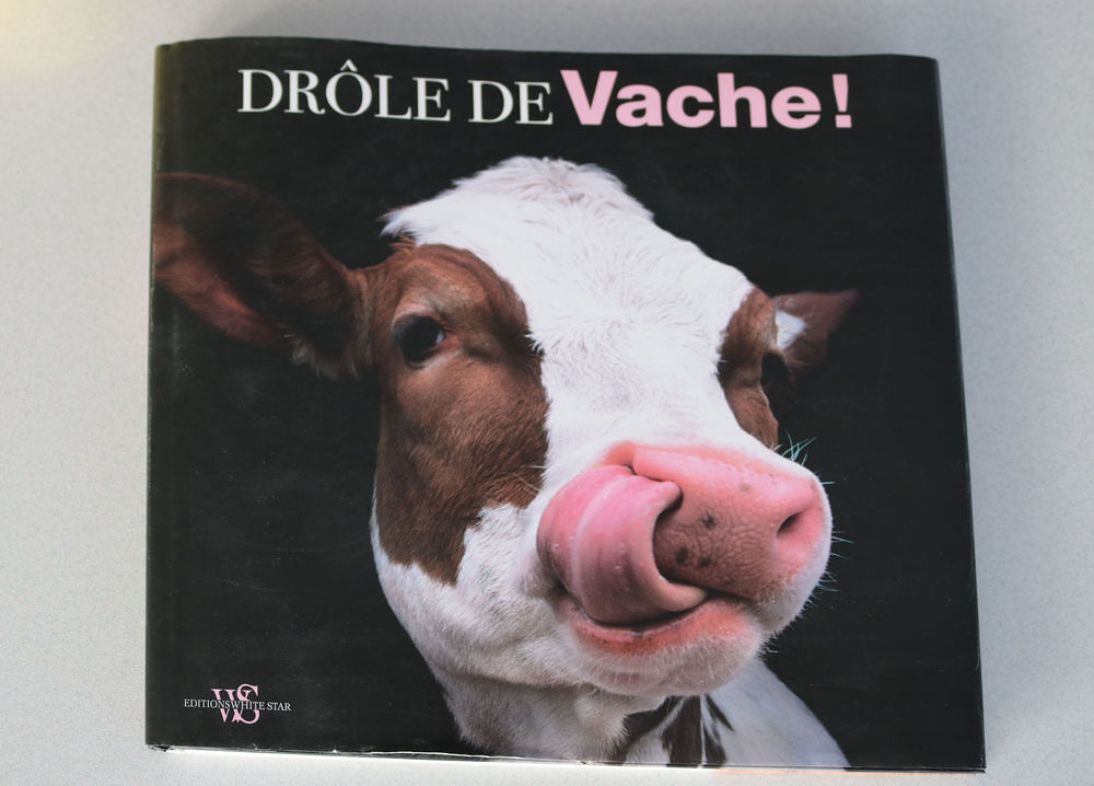 DROLE DE VACHES ! Livres et BD