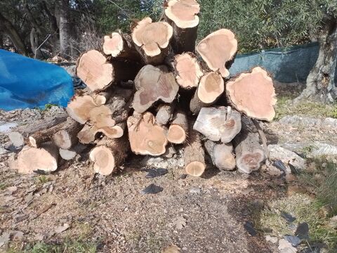 BOIS DE CADE 130 Figani�res (83)