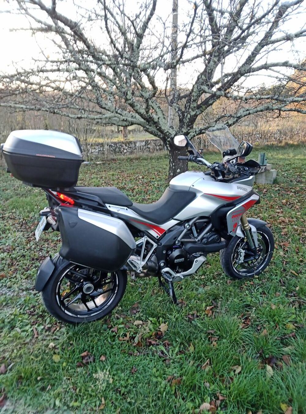 DUCATI 2014 occasion 07260 Joyeuse