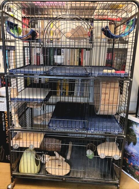 cage haute pour chinchilla ou furet 40 92290 Ch�tenay-malabry