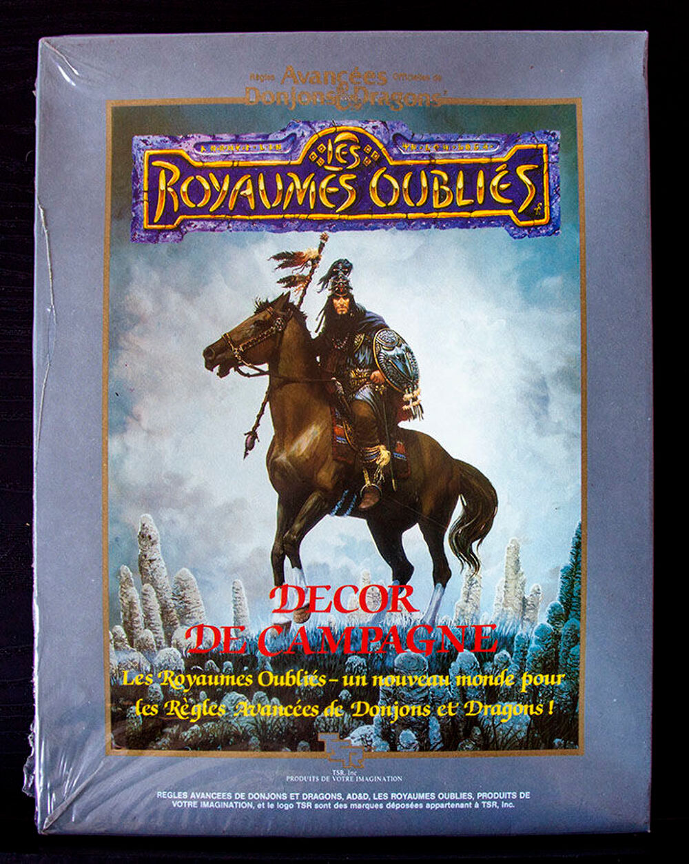 AD&amp;D 1031 Les Royaumes Oubli&eacute;s, Decor de Campagne TSR 1987 Consoles et jeux vidos