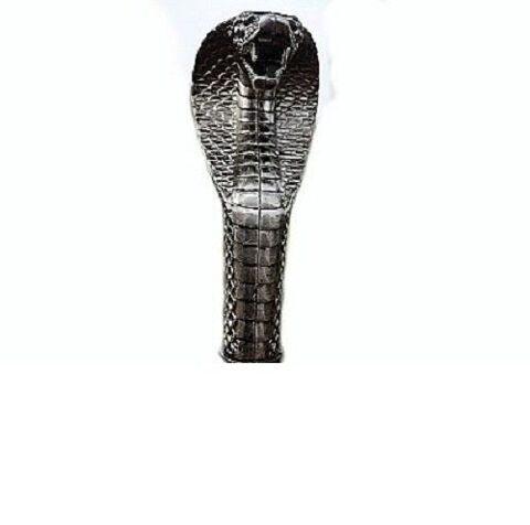 canne de marche cobra 35 Fleurance (32)