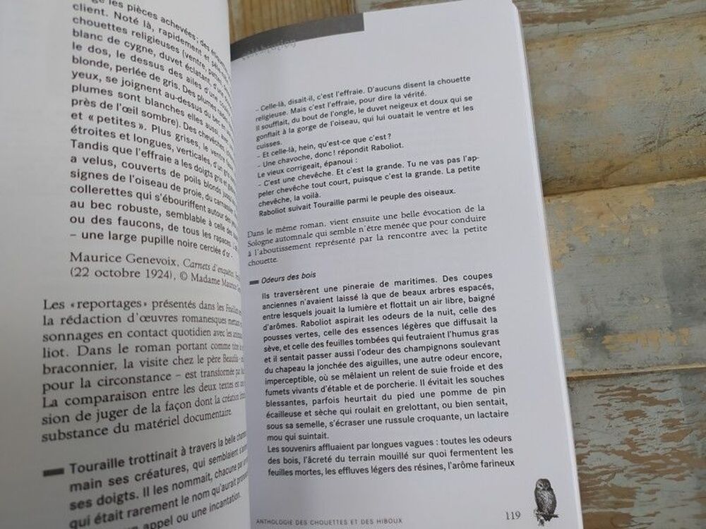 Livre Delachaux Niestl&eacute; Anthologie des Chouettes et Hiboux Livres et BD