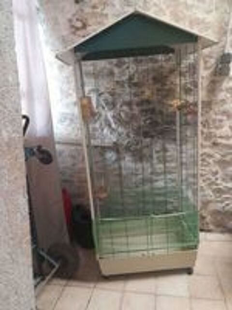   Av 2 cages oiseaux 