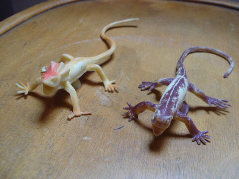 2 l�zards qui se positionnent n'importe o� 0 M�rignies (59)