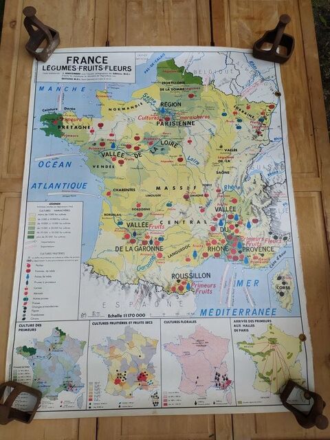 Carte Scolaire France Lgumes Fruits Fleurs / Cultures Indus 100 Loches (37)