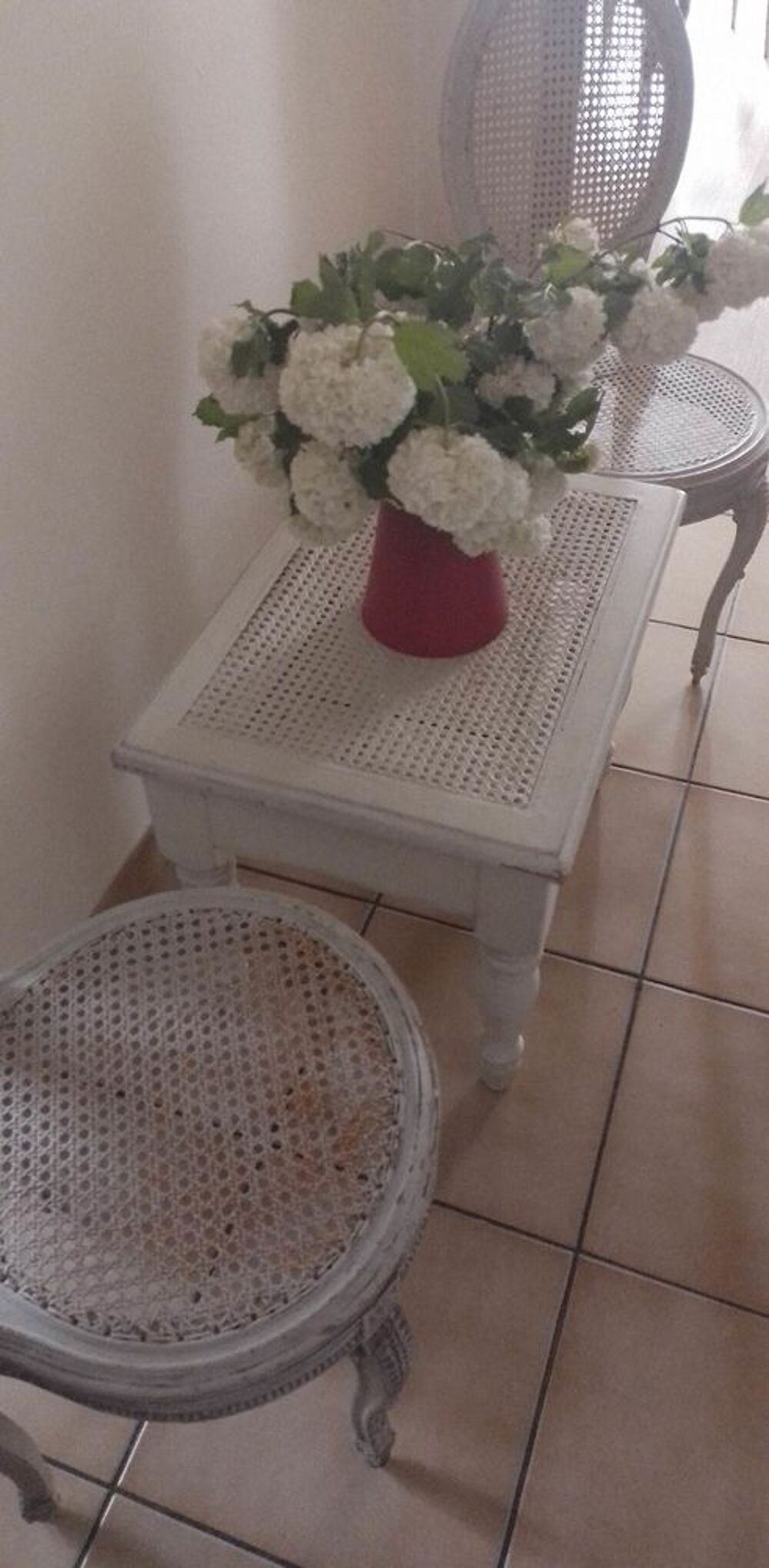 SALON A RENOVER Meubles
