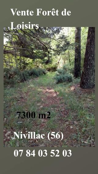  Terrain � vendre 7300 m� Nivillac