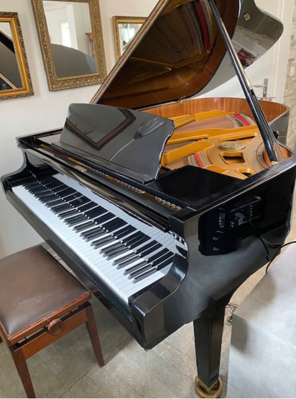 Piano &agrave; queue PETROF P194 Instruments de musique