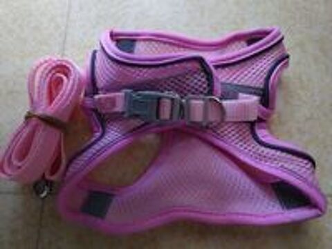   Harnais + laisse pour chien ? 