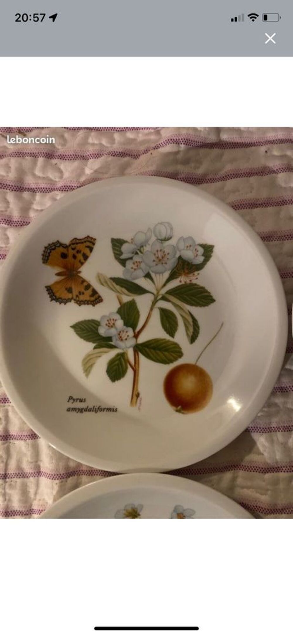assiette vintage 