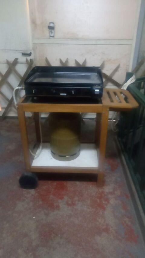 Plancha seignosse 50 Dammartin-en-Go�le (77)