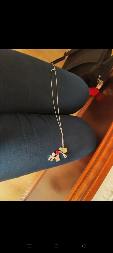 collier 2 Pau (64)