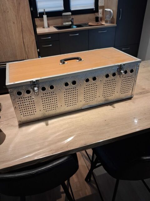 Boîte de transport  pour perroquet 80 29900 Concarneau