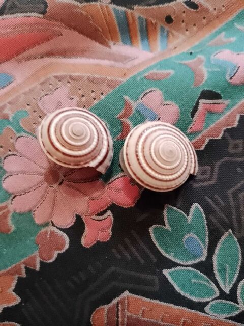 boucles d'oreilles escargots cr�mes/marrons sur m�tal argent� vintage ann�es 80. 12 Carqueiranne (83)