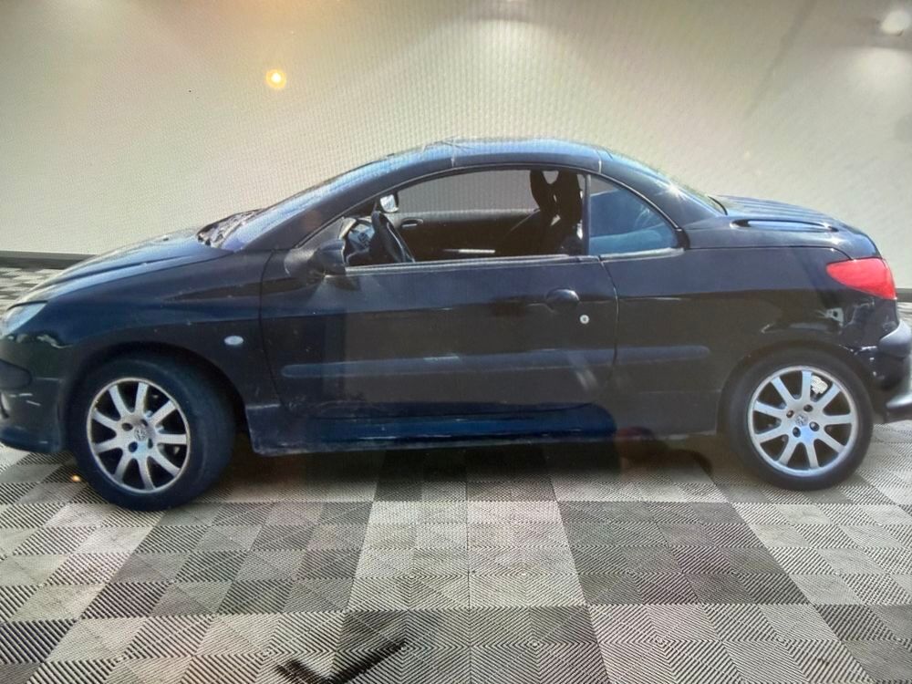 206 CC 1.6i 16V 2003 occasion 34130 Mauguio-Carnon-Plage