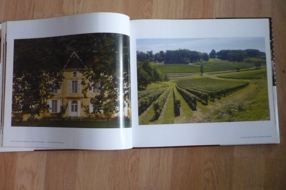 SAINT-&Eacute;MILION, AU-DEL&Agrave; D'UNE APPELLATION de Alain DENIS 2001 Livres et BD