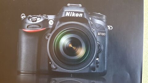 NIKON D7100 0 Bordeaux (33)