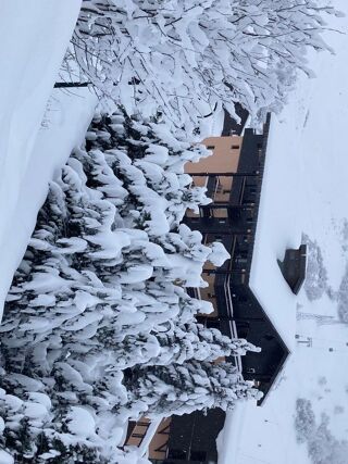 Location  Appartement 