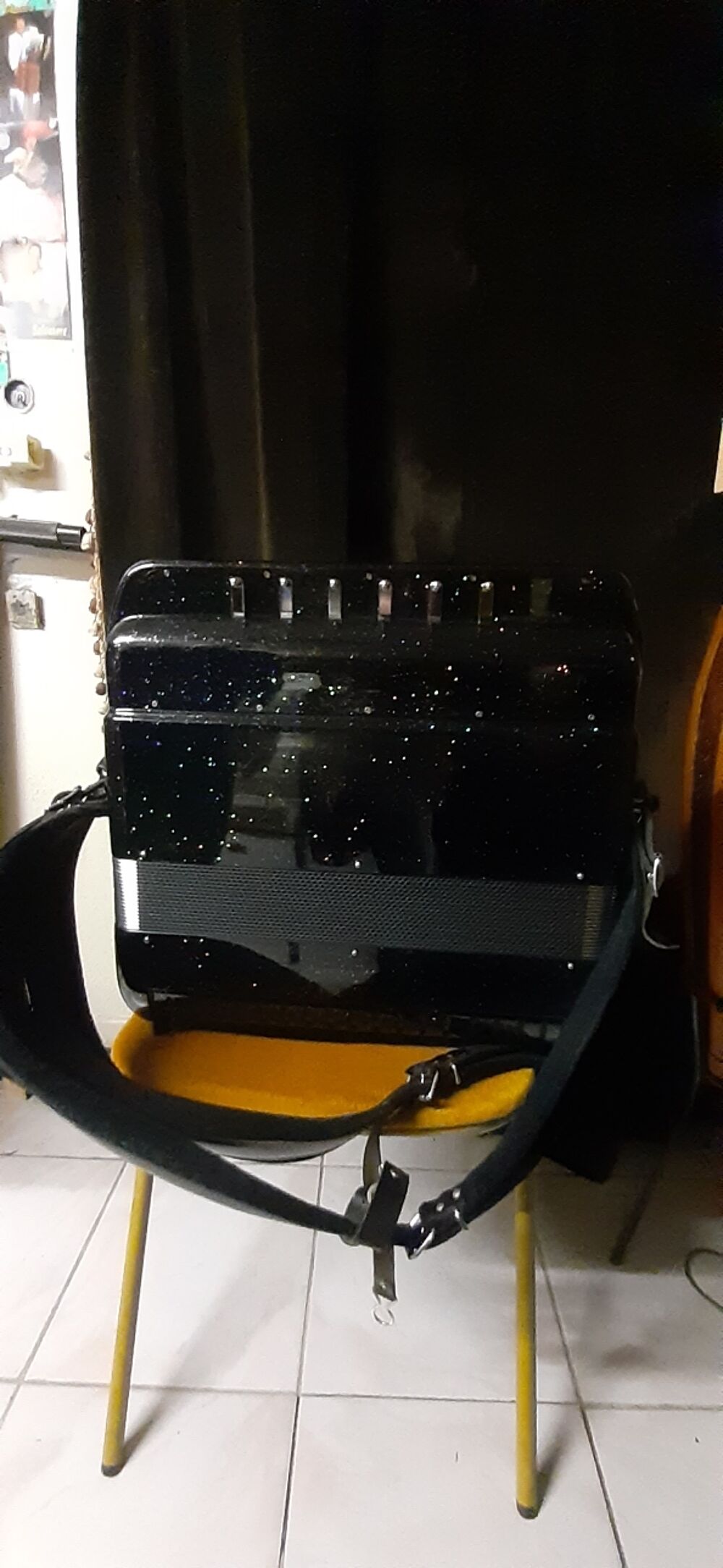 accordeon Fratelli Crosio beltuna n 9 120bass 5rgs adroite 5 Rangs double bo&icirc;te de resonance6possoirsde registre boutons go?"t&eacute; deau Instruments de musique