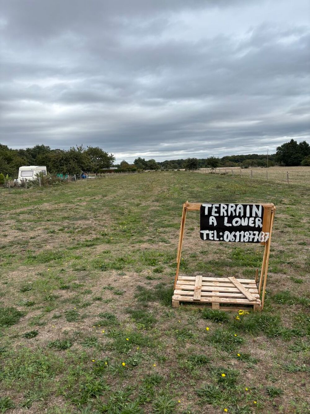Location Terrain Terrain 6000 m2 Herbage Pâture Prairie Jumièges