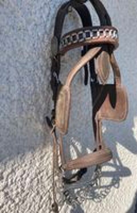   Bridon  en cuir marron 