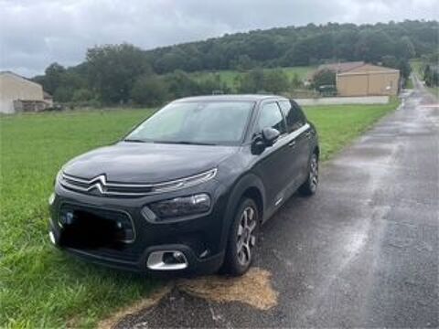 Citroen c4 cactus Citroën  BlueHDi 100 BVM Feel