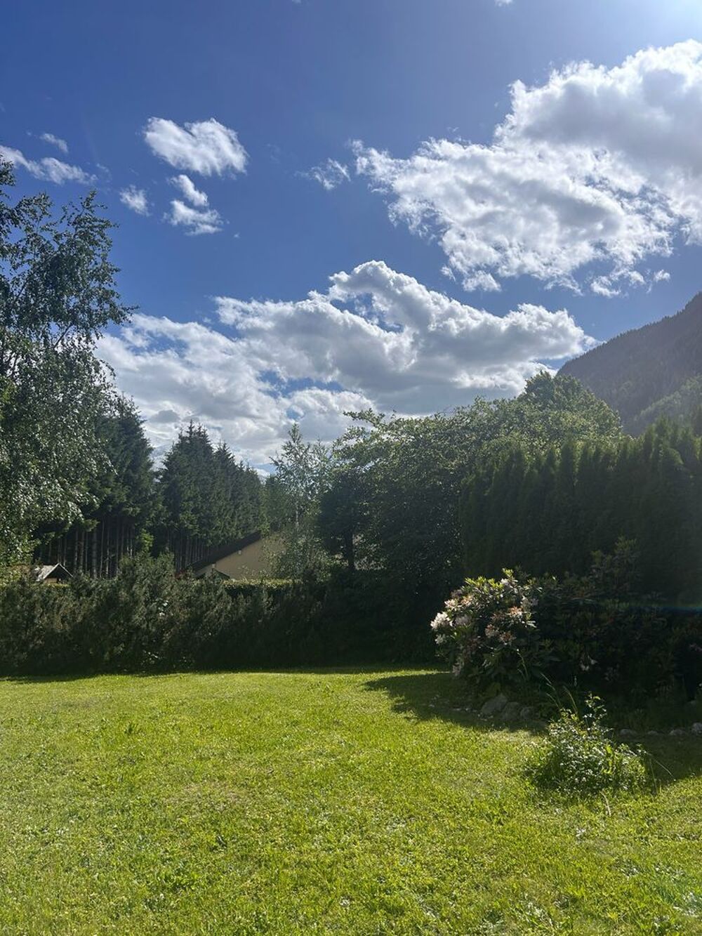 Vente Chalet Chalet à Argentière (Chamonix) Argentiere