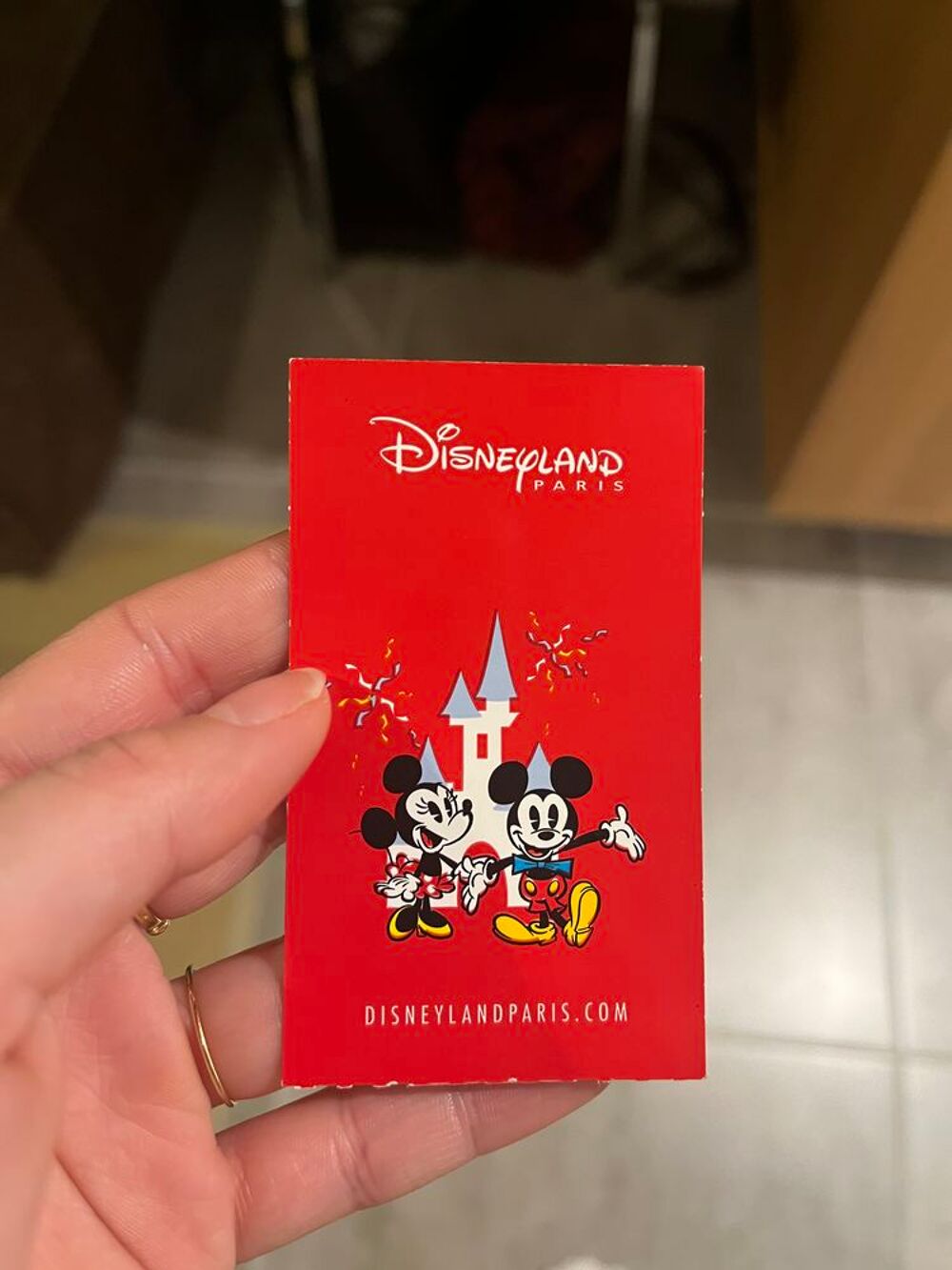 Achetez une entrée disney 1 occasion, annonce vente à Arzon (56