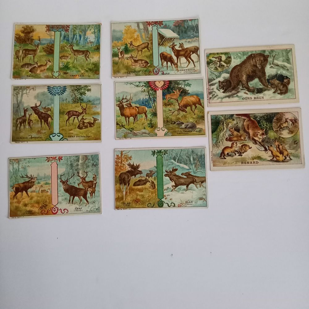 Lot de 8 images Leroux Bonzel sur les animaux de nos campagn Décoration
