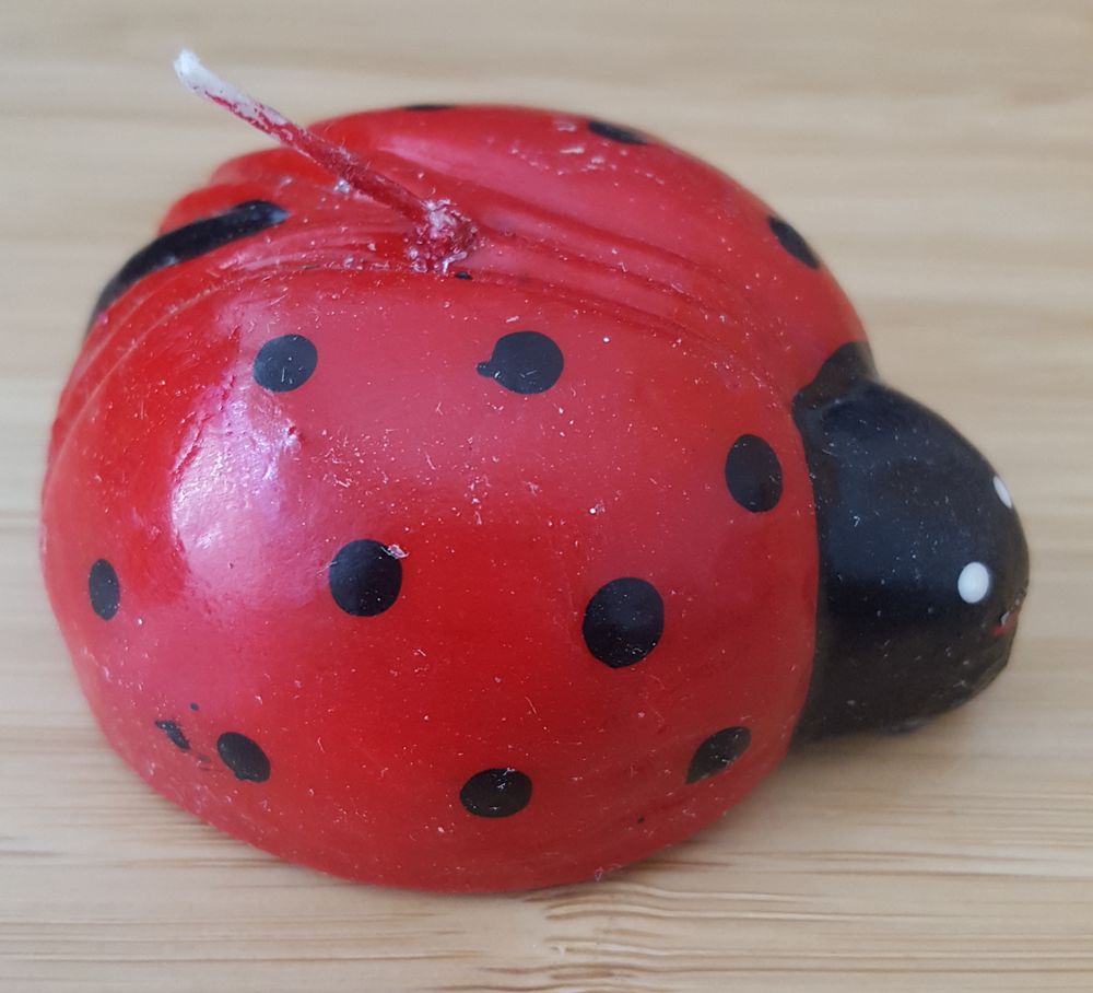 Bougies coccinelles Décoration