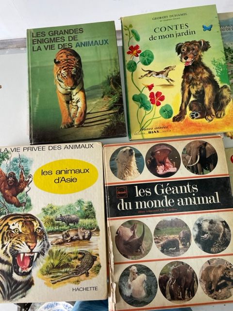 Livres pour enfant 5 Hermes (60)