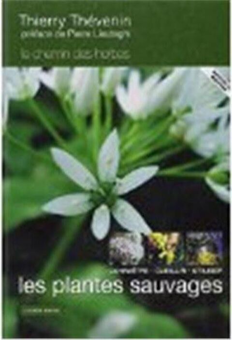 Les plantes sauvages ; connaître, cueillir et utiliser 15 Cergy (95)