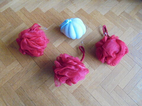 Fleurs de bain rouges et bleue (25) 3 Tours (37)