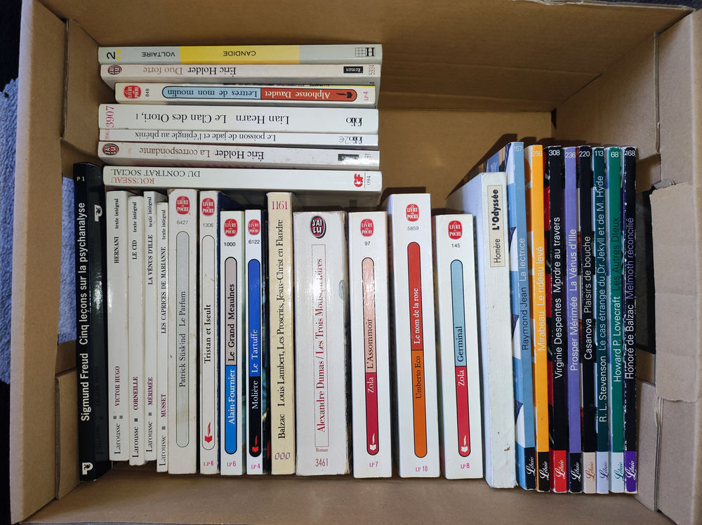 Lot 30 livres de poches Livres et BD