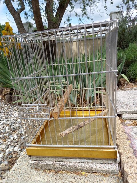 Cages  grands oiseaux 15 40110 Morcenx