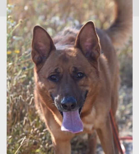 SKOL 300 27620 Gasny