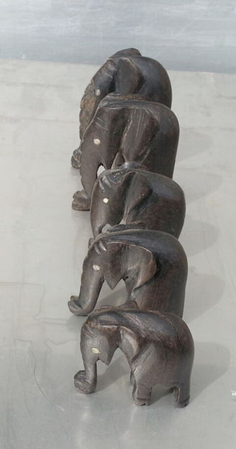 5 superbes �l�phanteaux de C�te d'Ivoire 59 Saint-Clair-sur-Galaure (38)