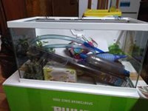   Aquarium +accessoires  