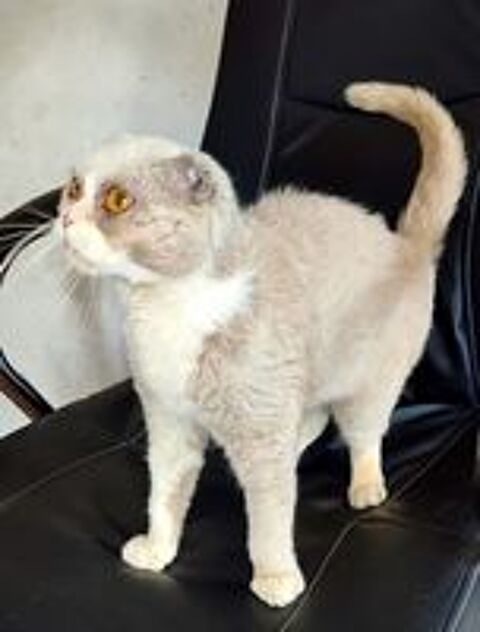   JASMINE SE TROUVE DANS UN REFUGE EN UKRAINE 