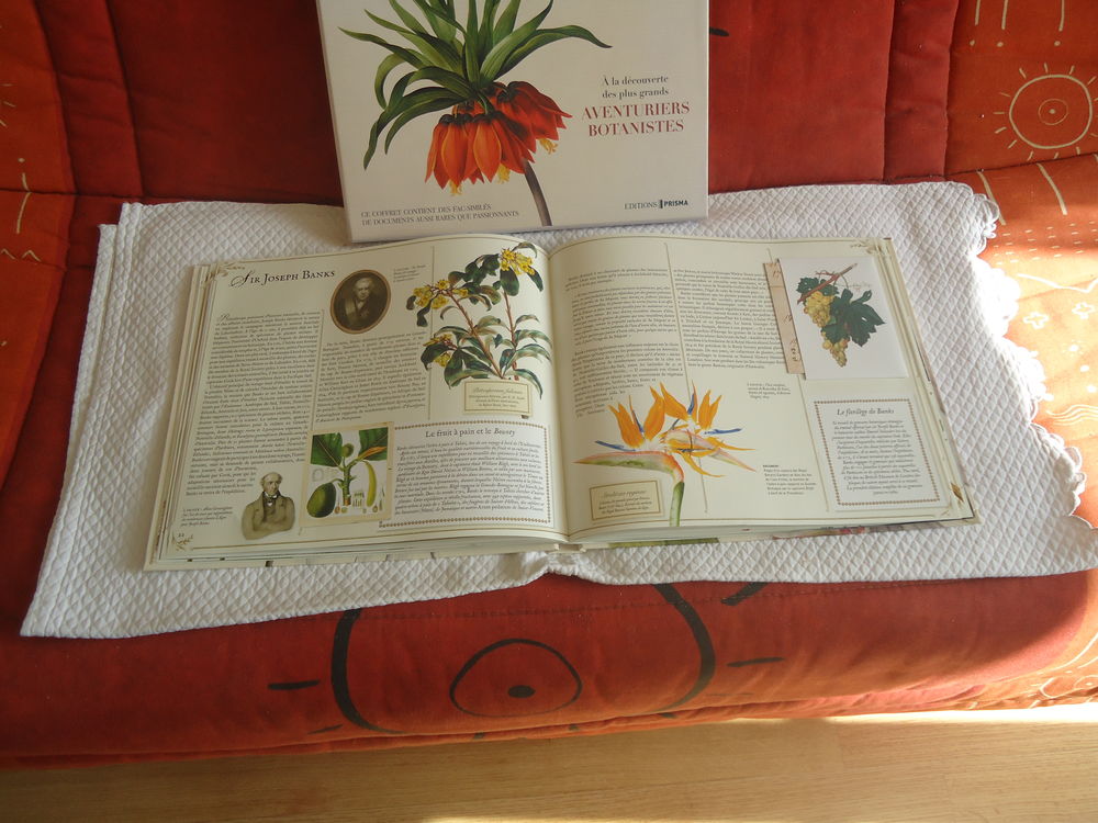 LIVRE CHASSEUR DE PLANTES Livres et BD