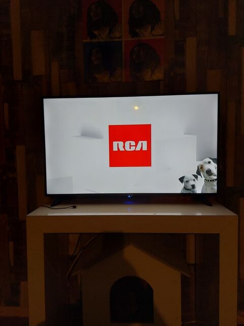 Tv full HD 110 cm 80 Chteau-Renard (45)