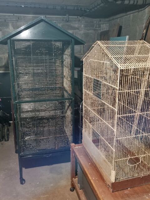 Cages, volière oiseaux ,rongeurs. 1 80880 Saint-quentin-la-motte-croix-au-bailly