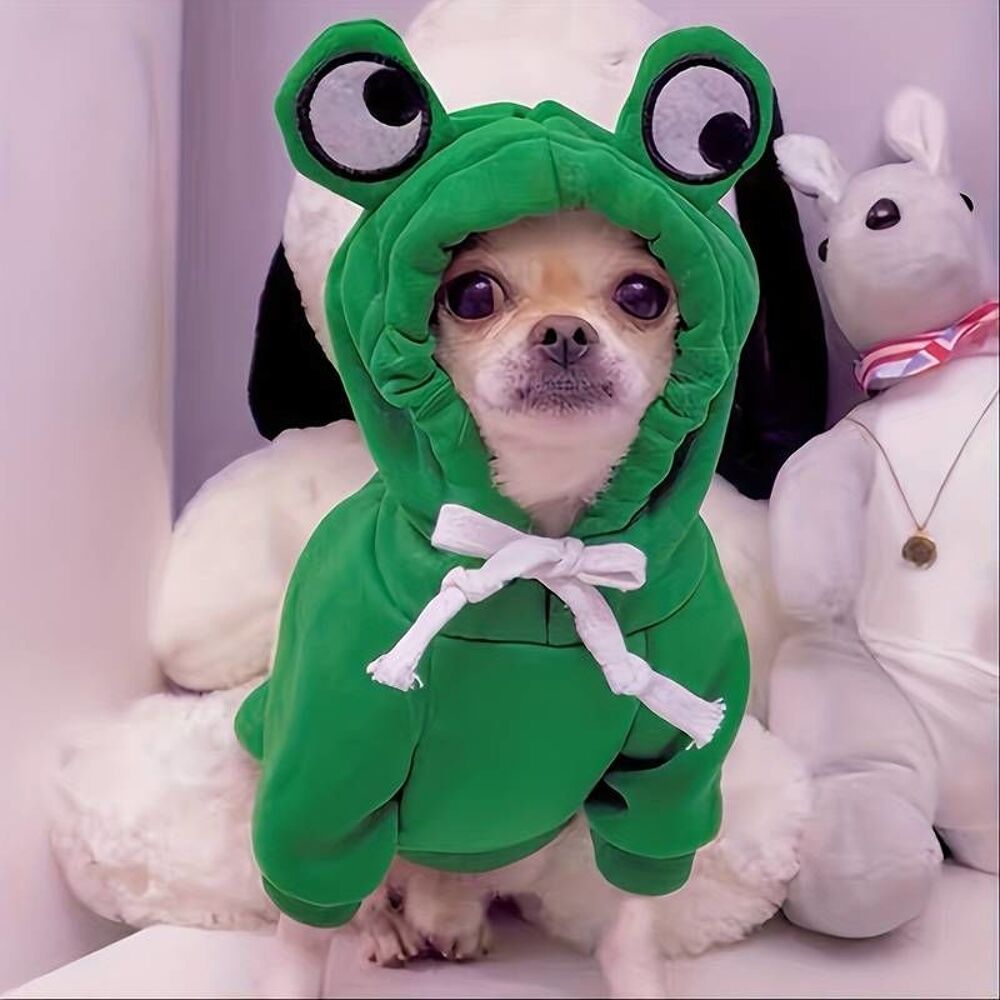 D&eacute;guisement petit chien HALLOWEEN Jeux / jouets