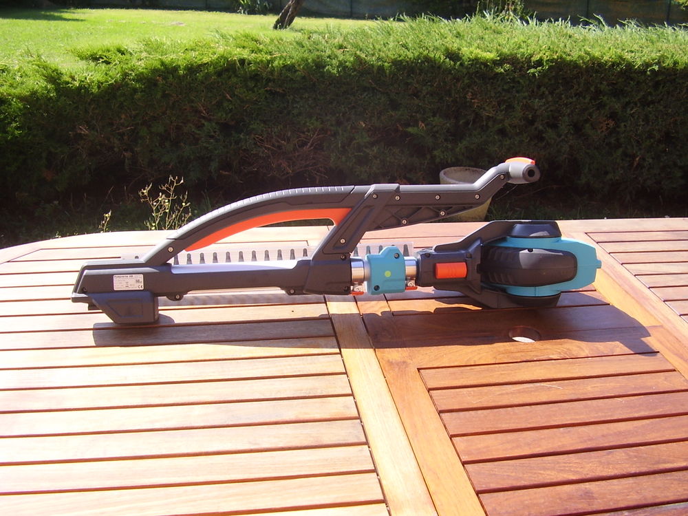 taille haie Jardin
